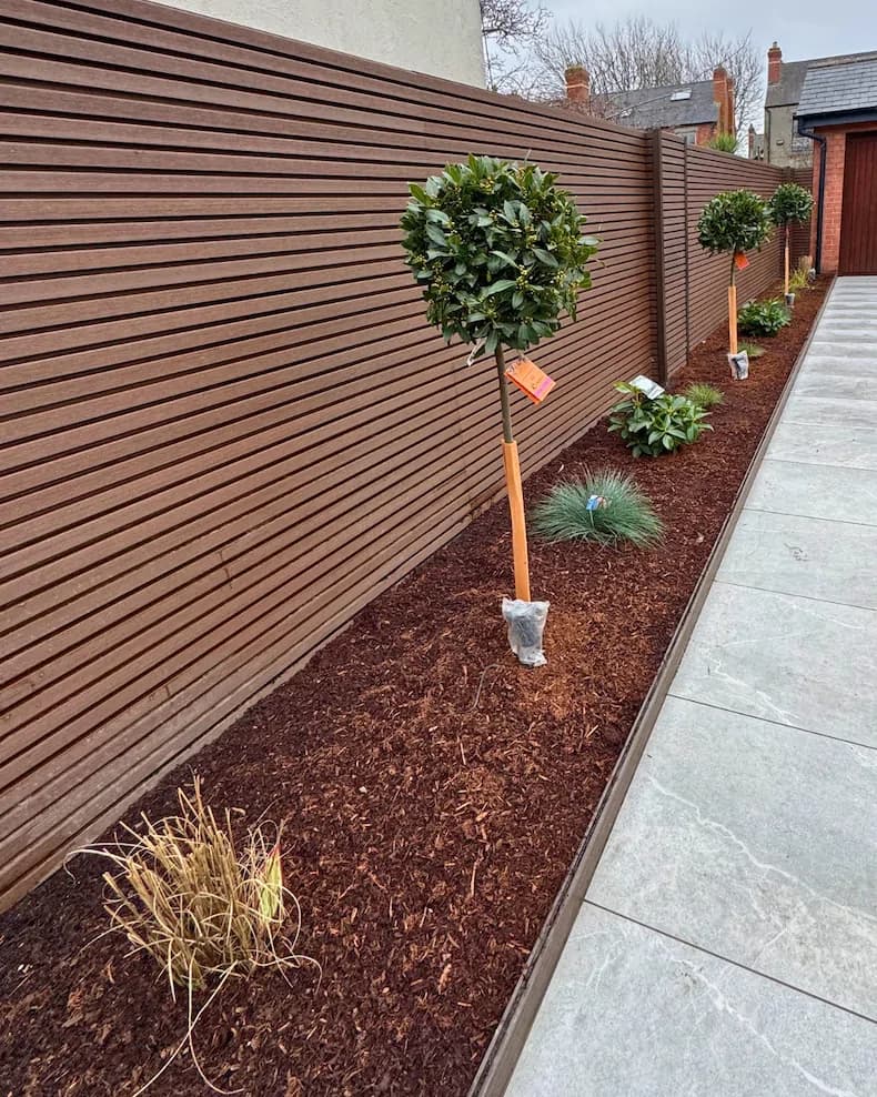 Flower Beds Project 10