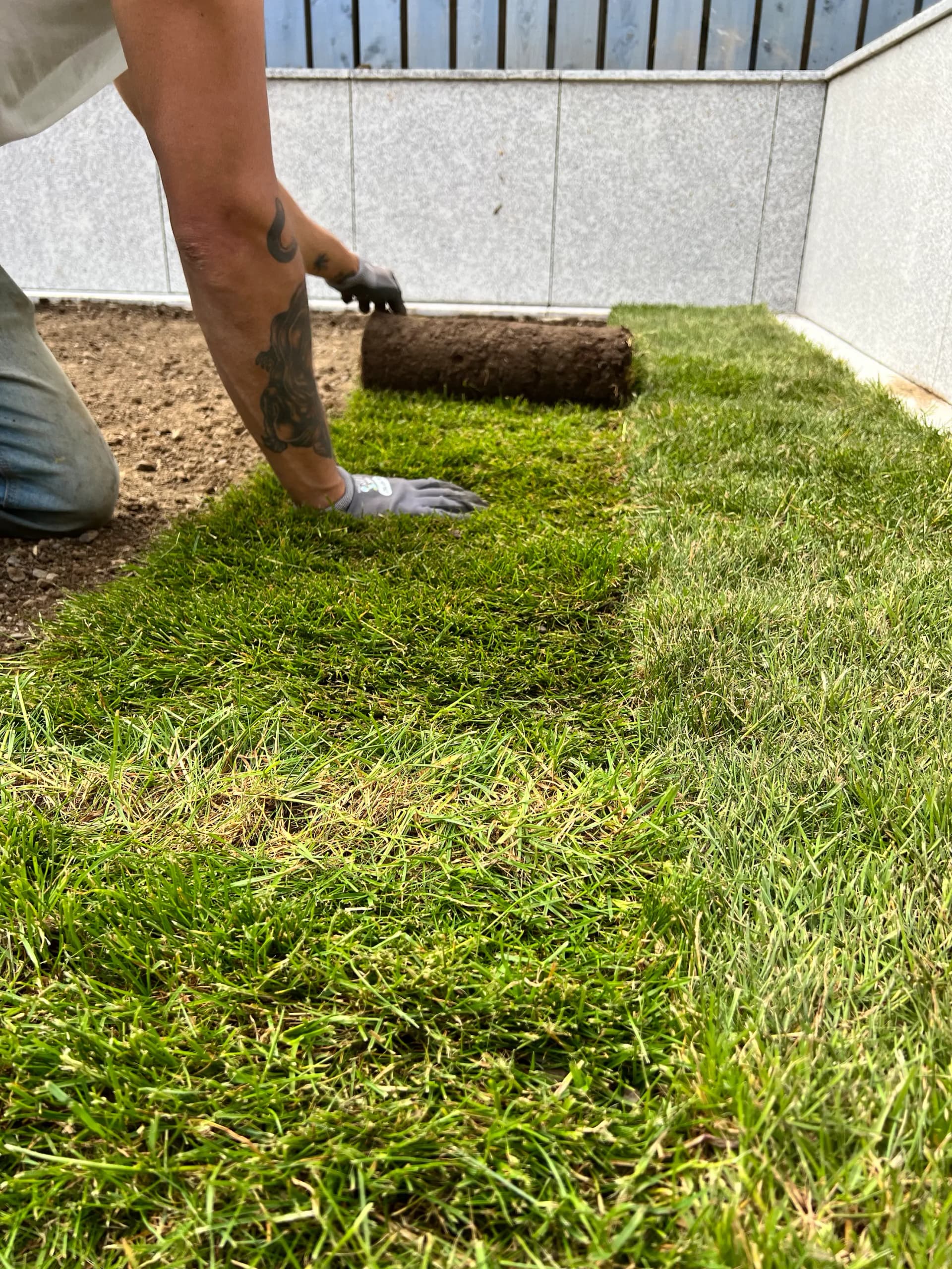 Natural Turf Grass Project 11