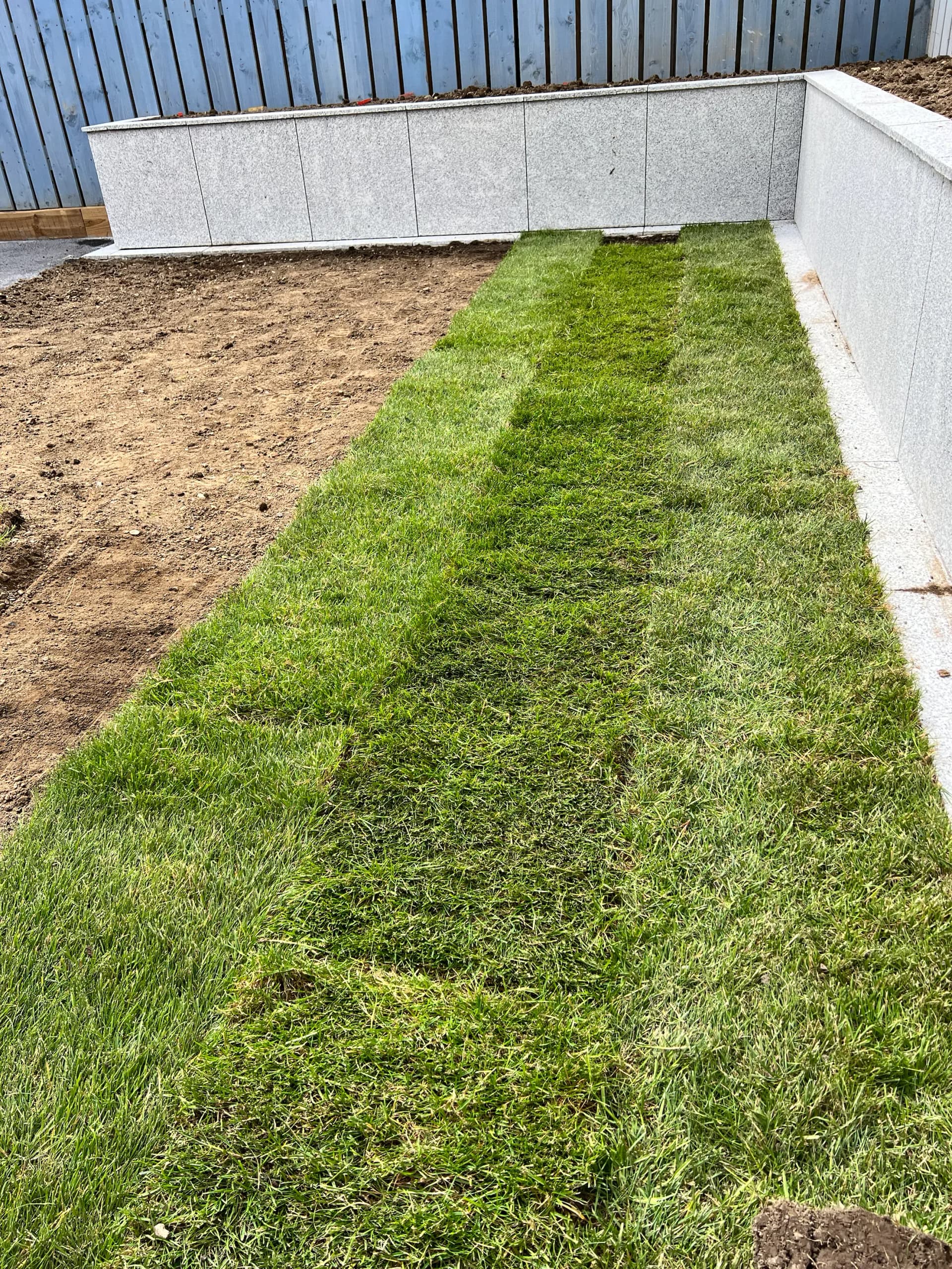 Natural Turf Grass Project 12
