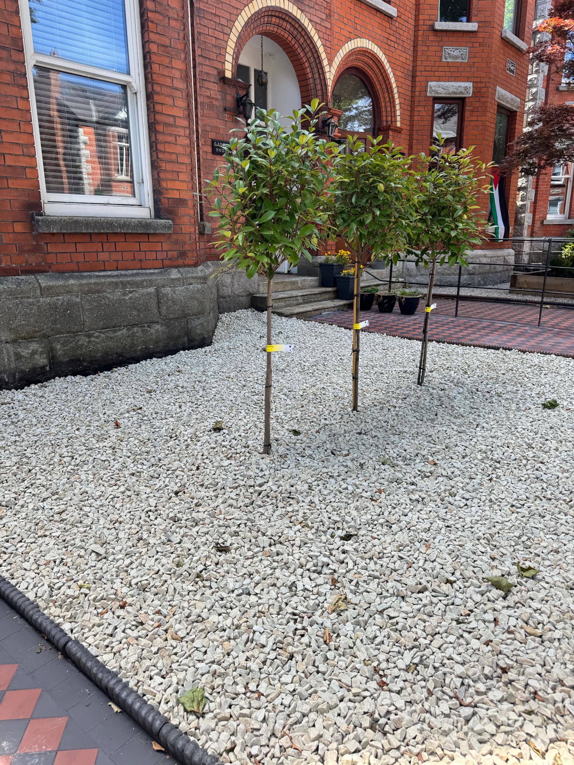 Patio Paving Front Project 38