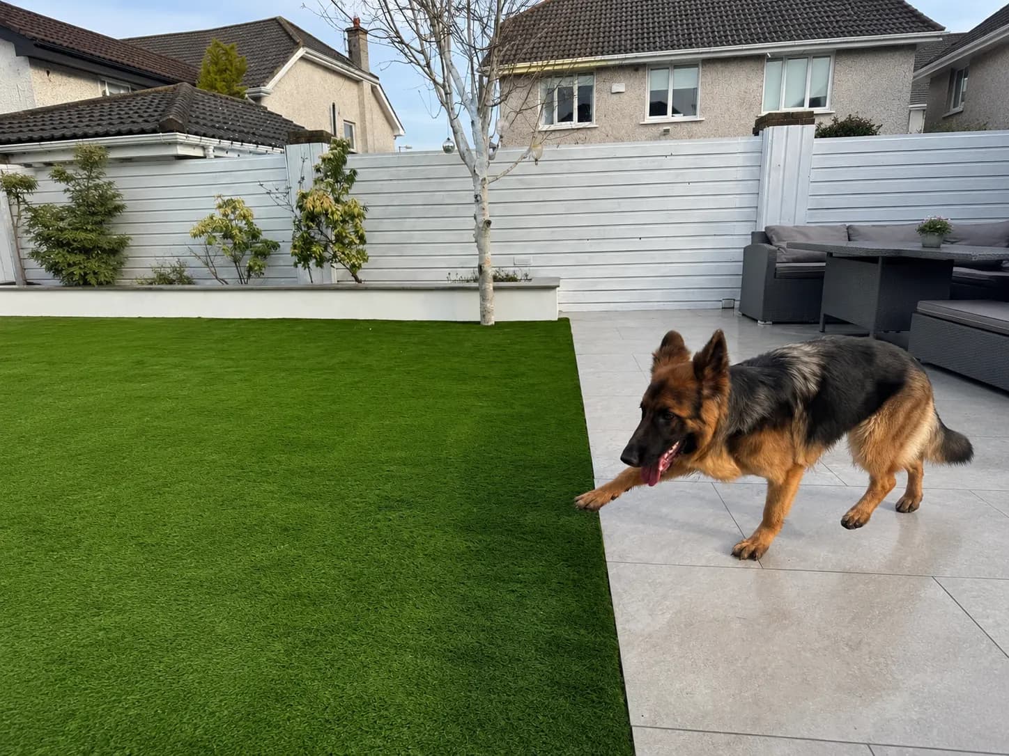 Artificial Grass for Dogs: Is It the Right Choice for Your Garden? supporting image 1