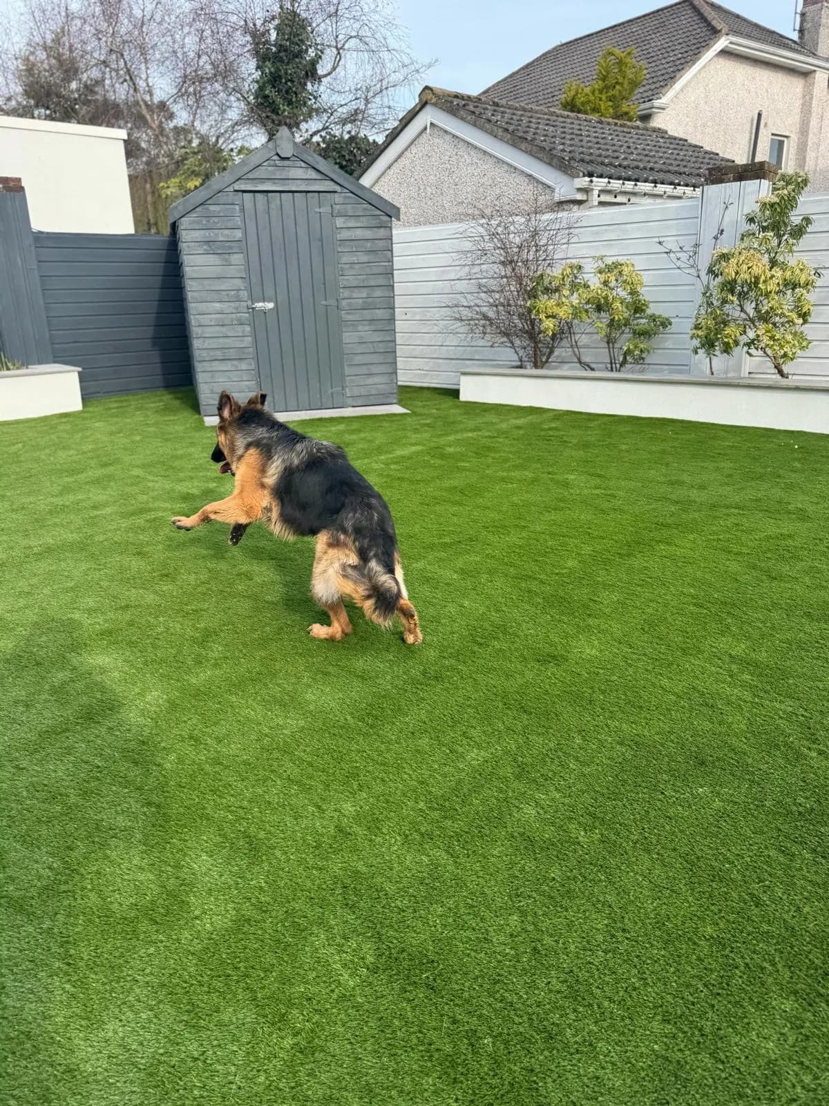 Artificial Grass for Dogs: Is It the Right Choice for Your Garden? supporting image 2