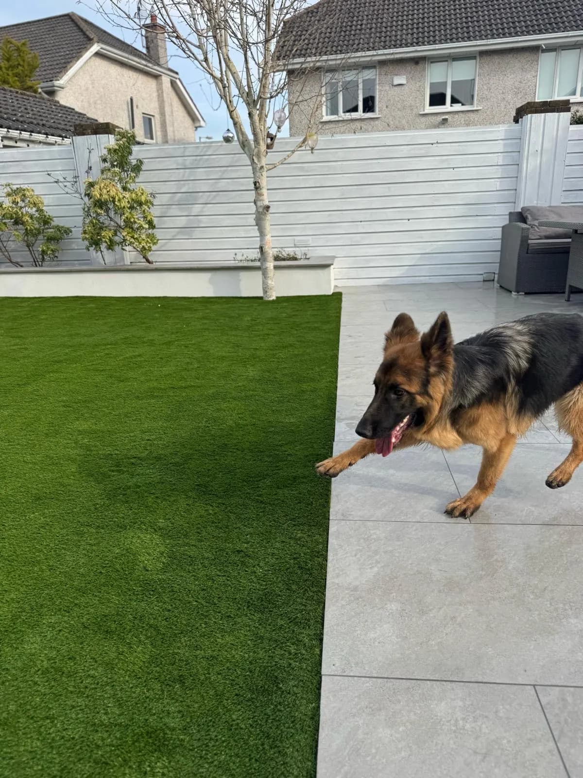 Artificial Grass for Dogs: Is It the Right Choice for Your Garden? supporting image 6