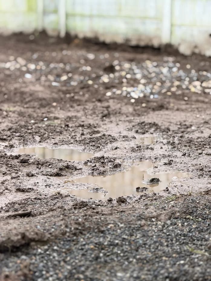 Why New Build Gardens Often Have Drainage Problems (And How to Fix Them) supporting image 1