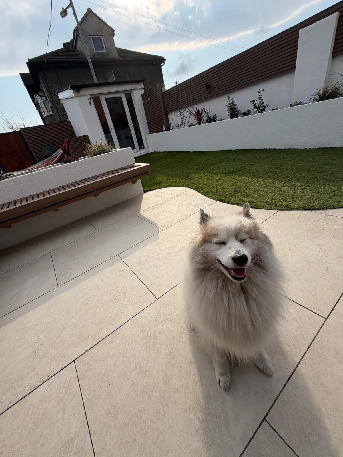 Artificial Grass for Dogs: Is It the Right Choice for Your Garden? supporting image 5