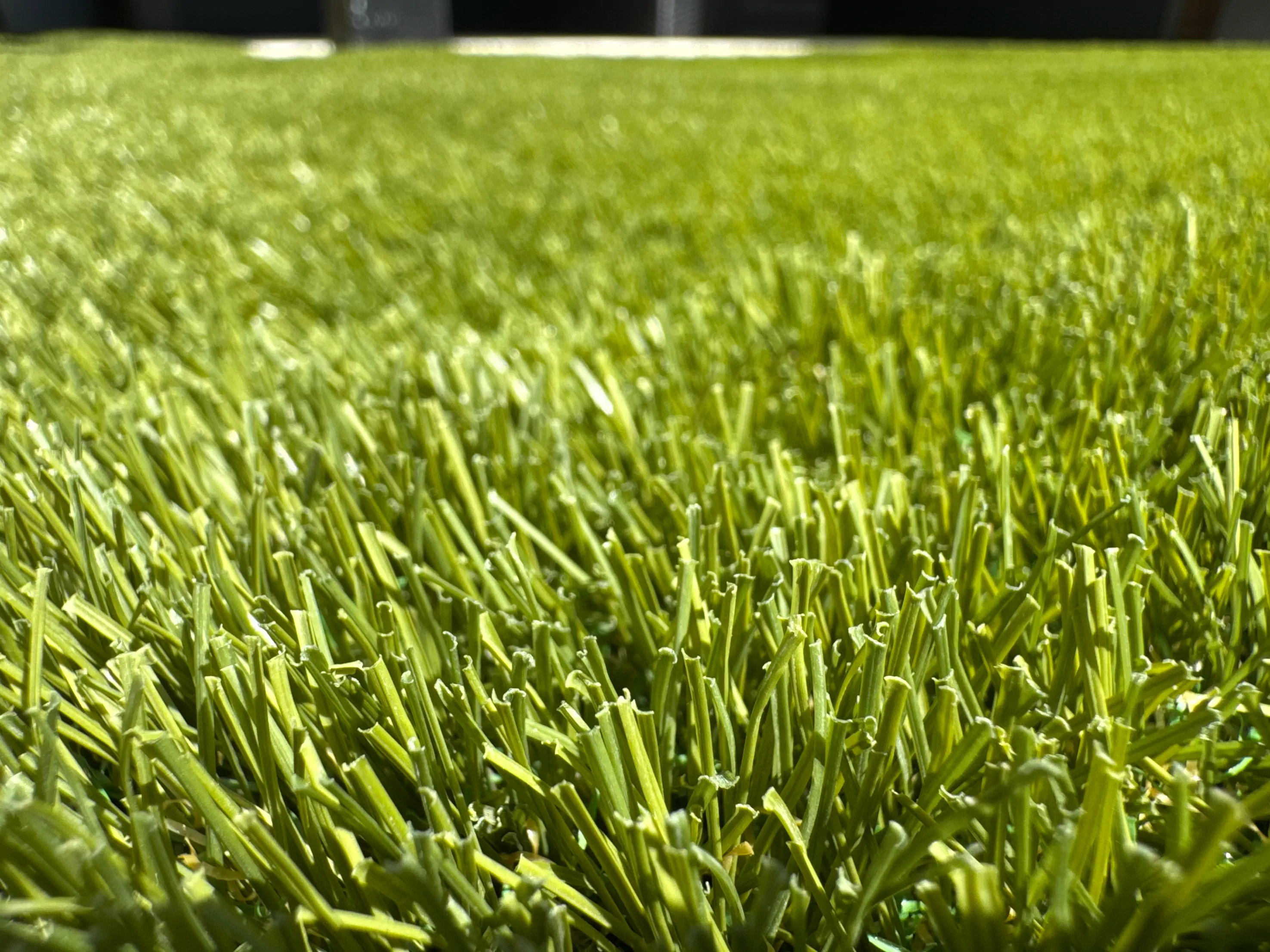 Artificial grass project 14