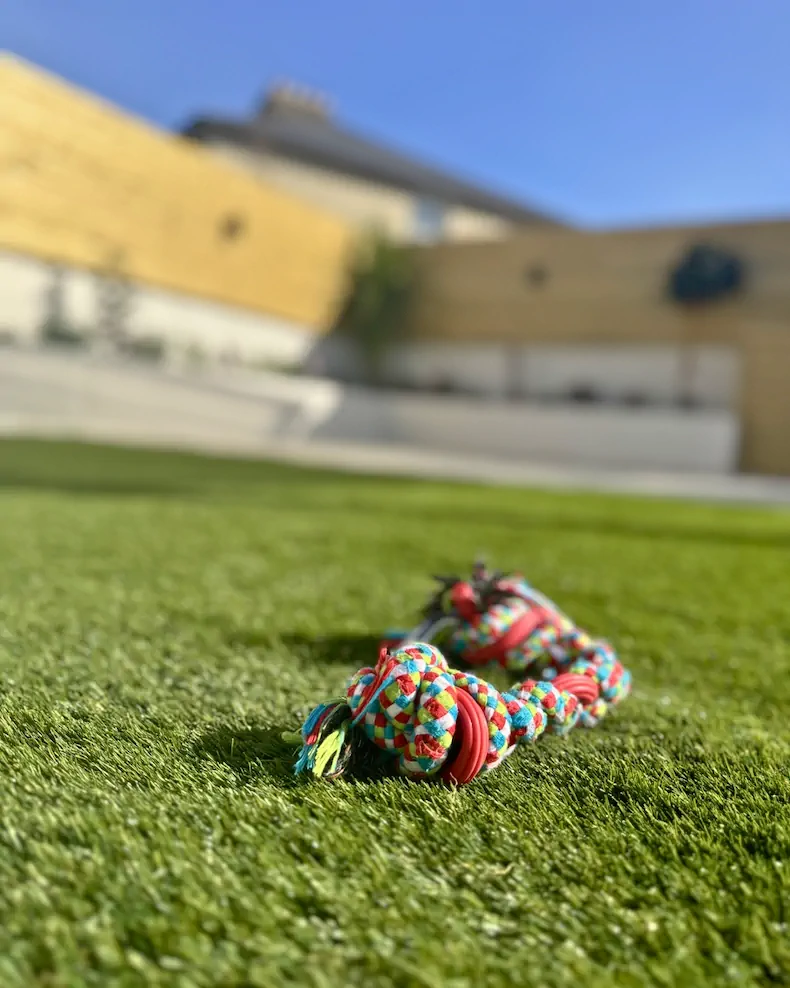 Artificial grass project 5