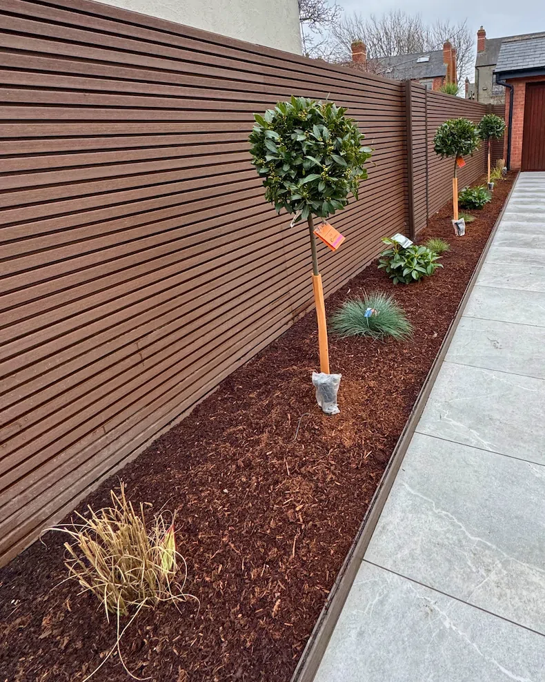 Flower Beds Project 10