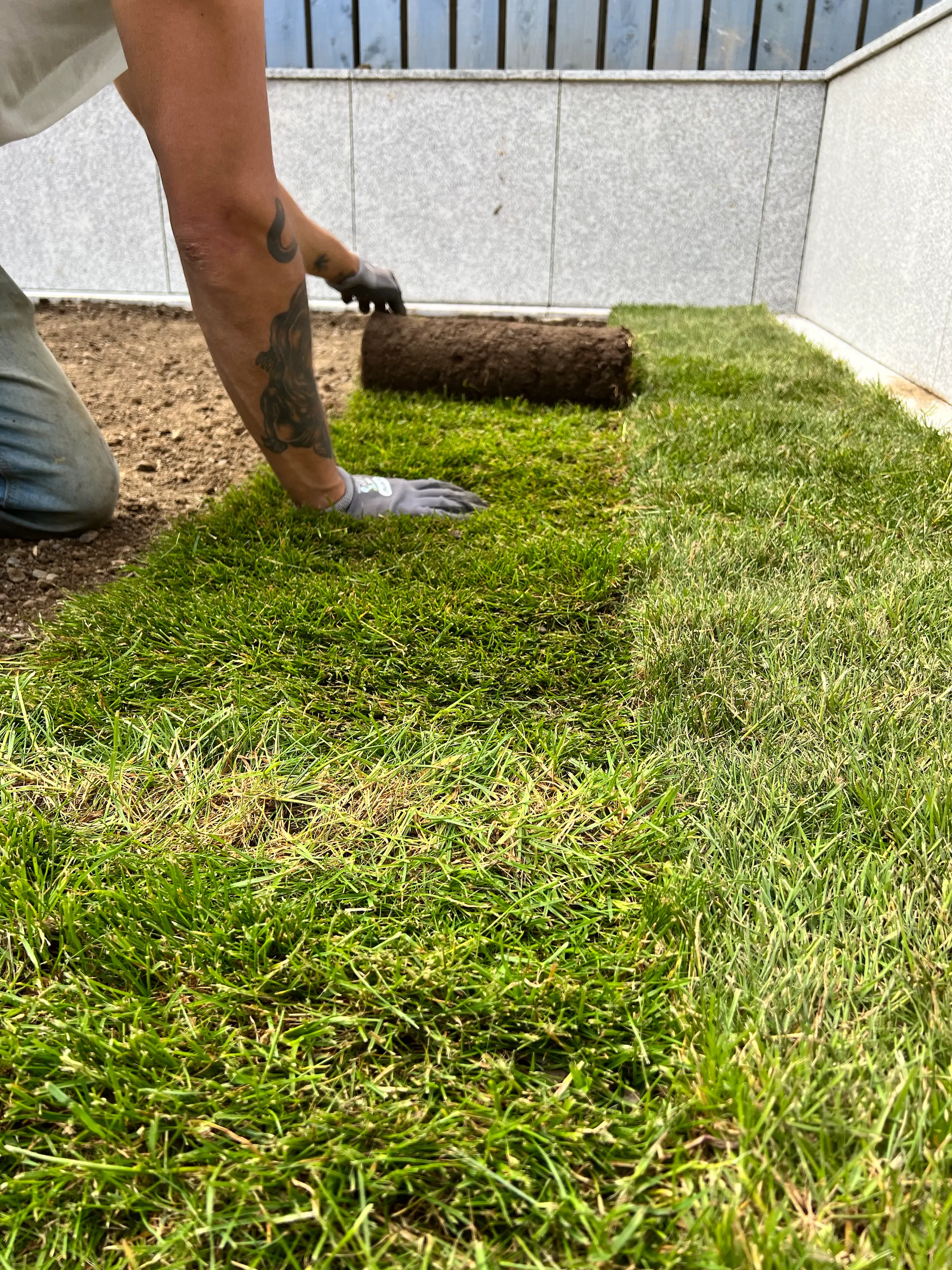 Natural Turf Grass Project 11