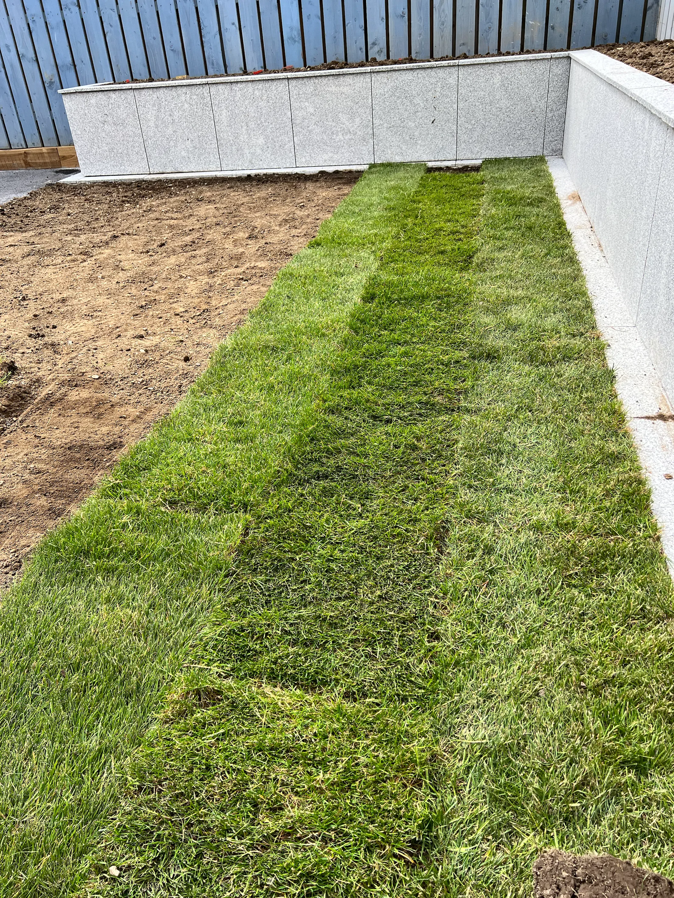 Natural Turf Grass Project 12