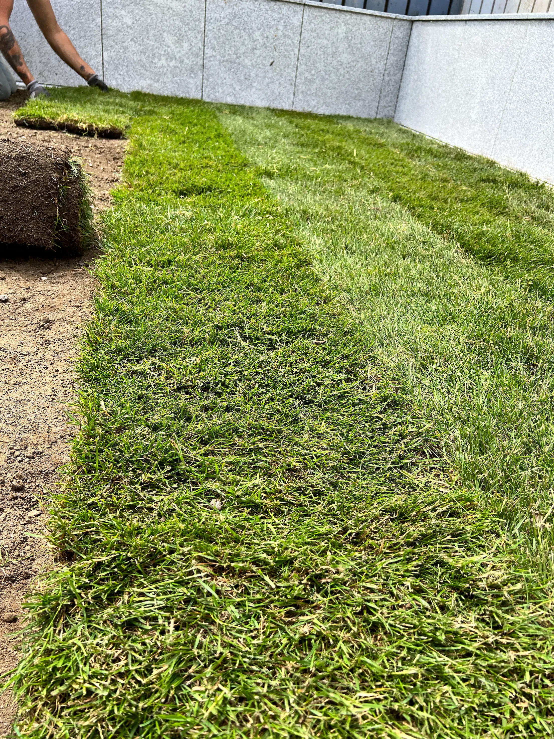Natural Turf Grass Project 13