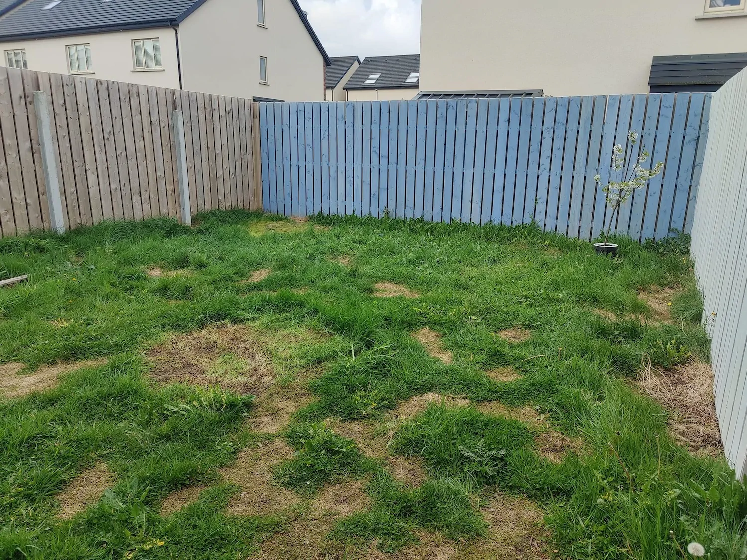 Natural Turf Grass Project 15