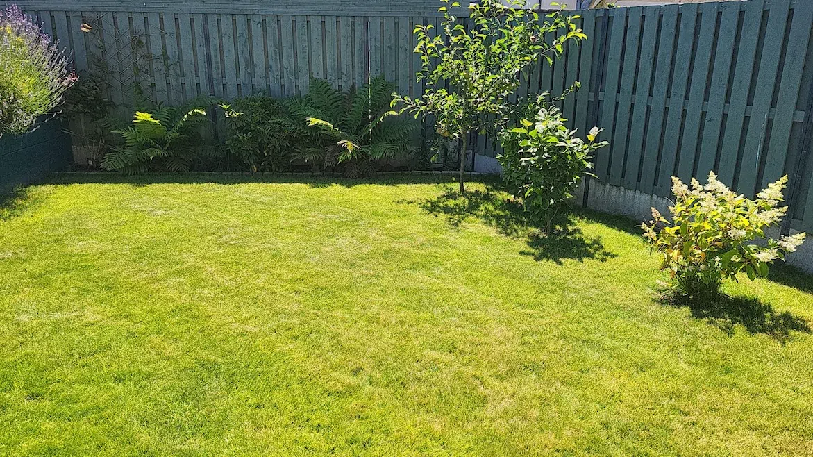 Natural Turf Grass Project 4