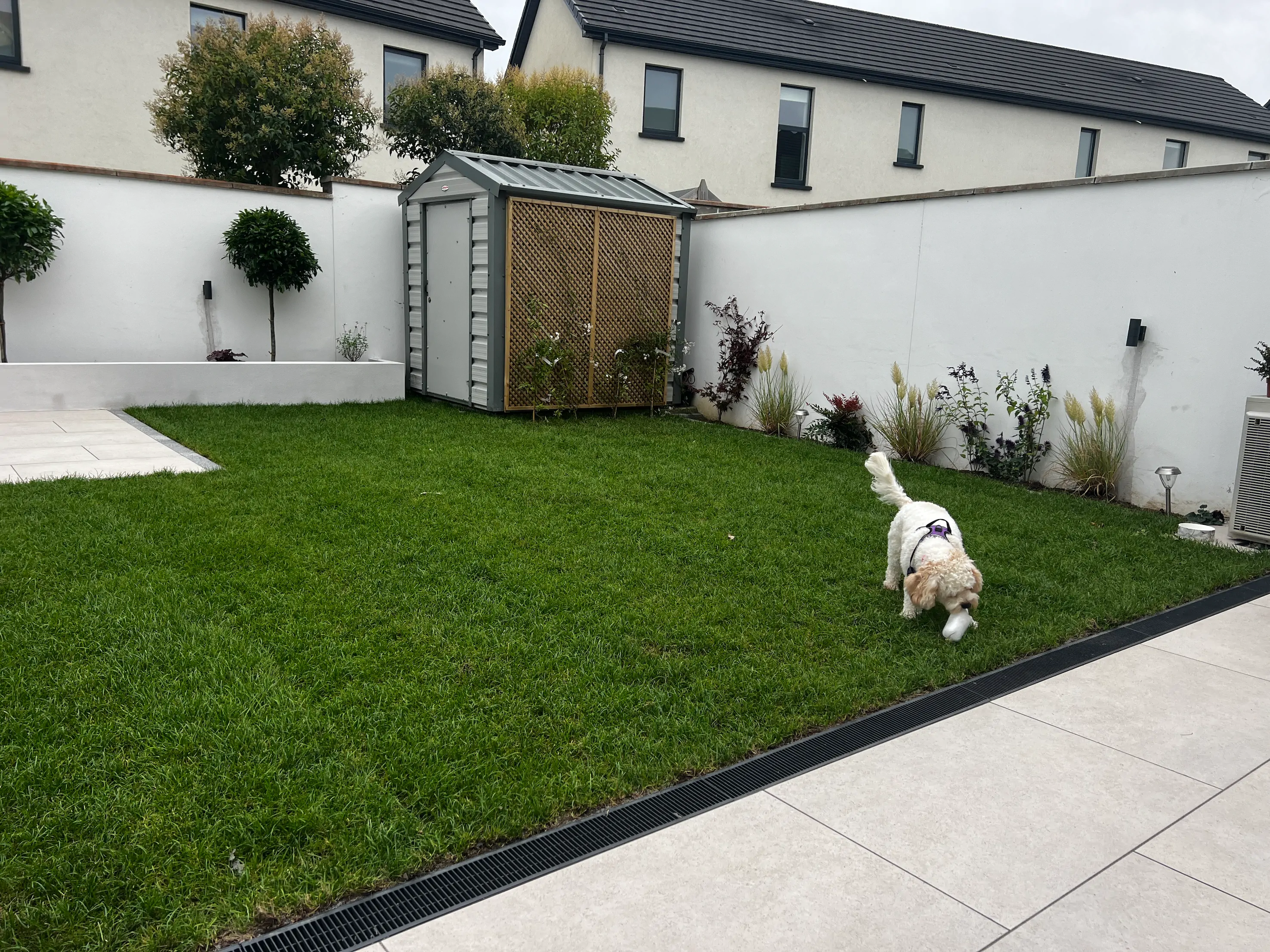 Natural Turf Grass Project 9