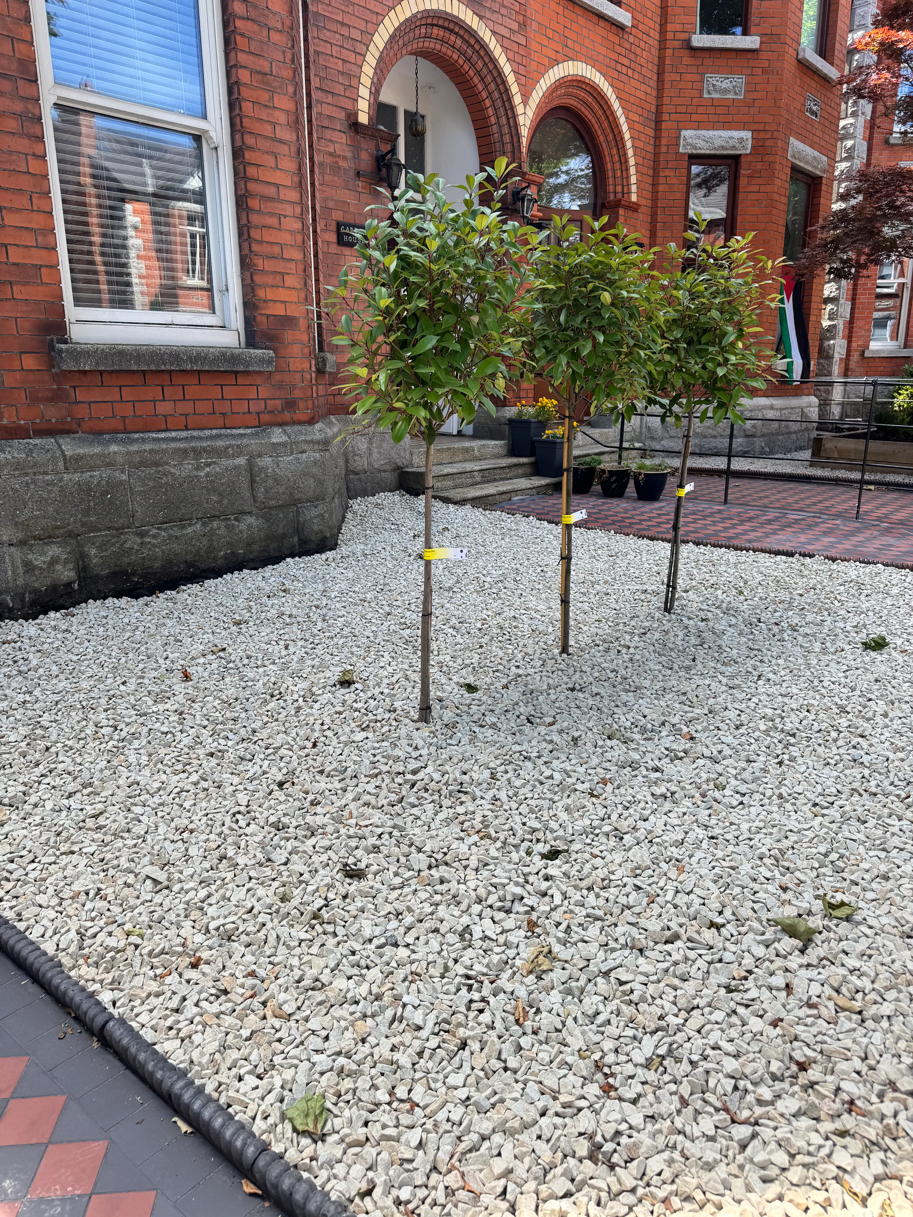 Patio Paving Front Project 38
